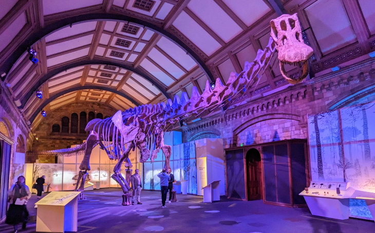 People viewing a huge dinosaur skeleton at the Natural History Museum