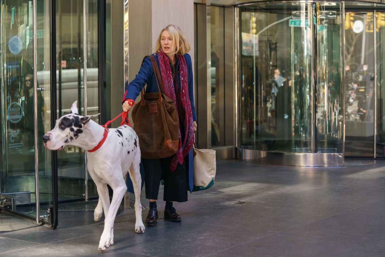 Unbreakable Bond: Bill Murray and Naomi Watts Star in Faithful Friend Now in Russian Theaters