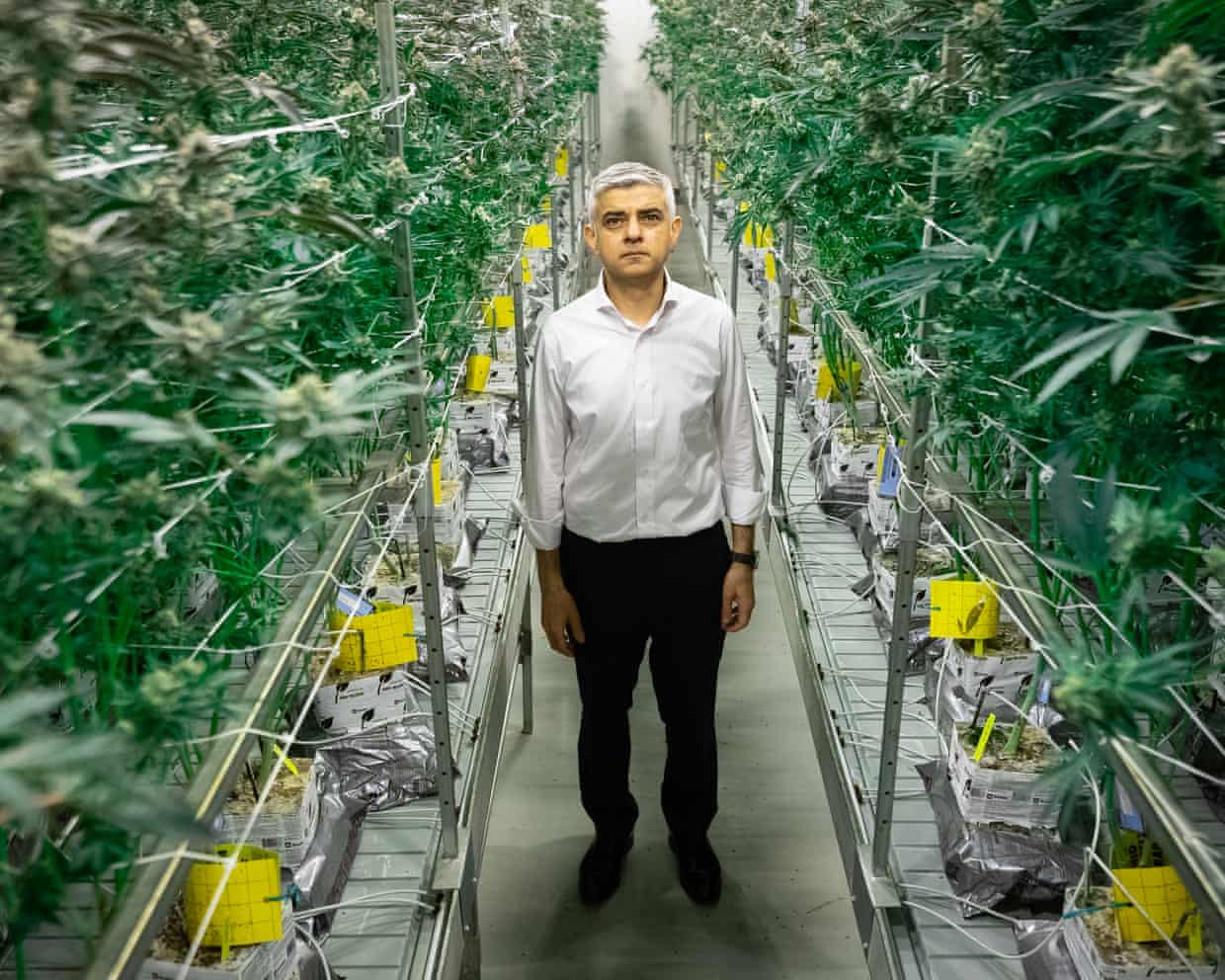 Mayor Sadiq Khan Advocates for Shift in Cannabis Policy, Highlighting Racial Disparities in Enforcement