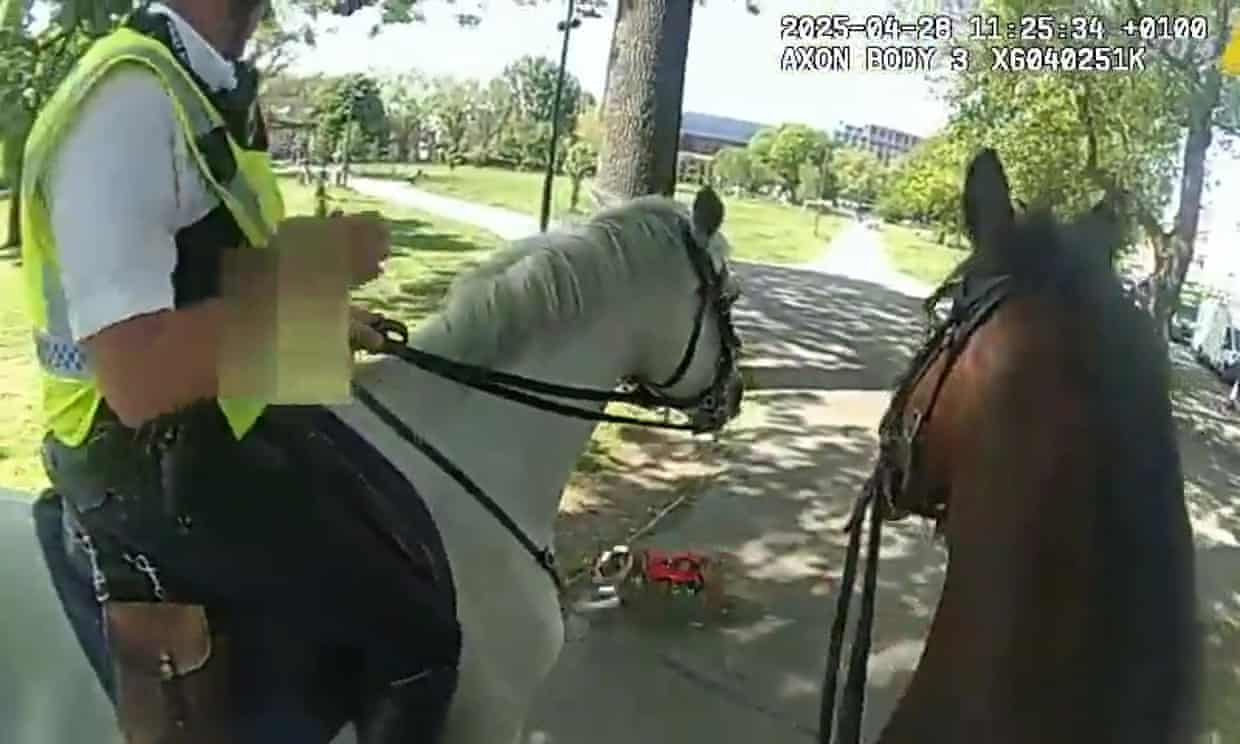Heroic Bystanders Rescue Mounted Police from Bulldog Attack in London
