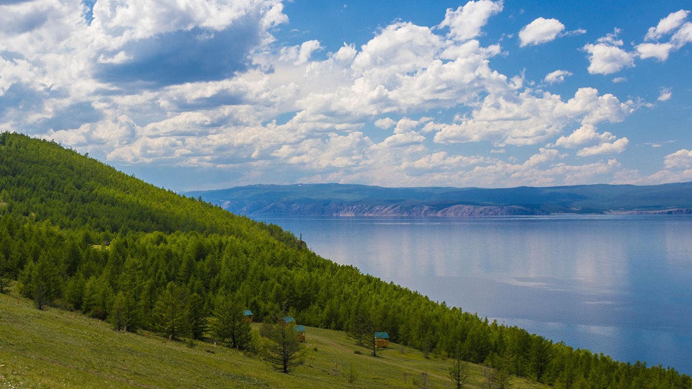 Lawmakers Urged to Reject Controversial Baikal Logging Bill Amid Environmental Concerns