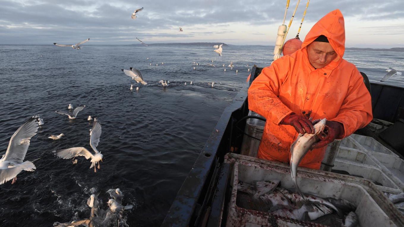 Russia’s Fisheries Agency Threatens Ban on Norwegian Ships in Response to EU Sanctions