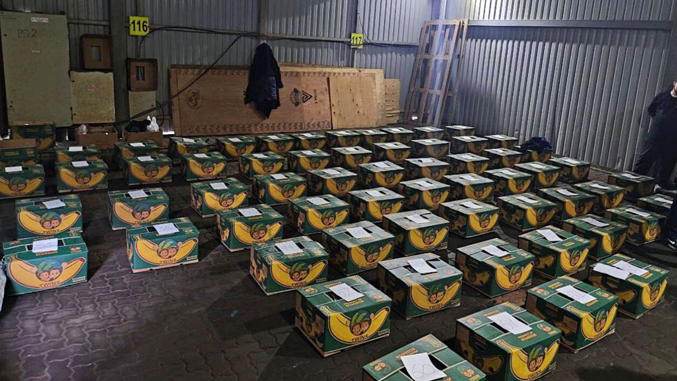 Record-Breaking Cocaine Seizure in St. Petersburg: Over 1.5 Tons Disguised in Banana Shipment