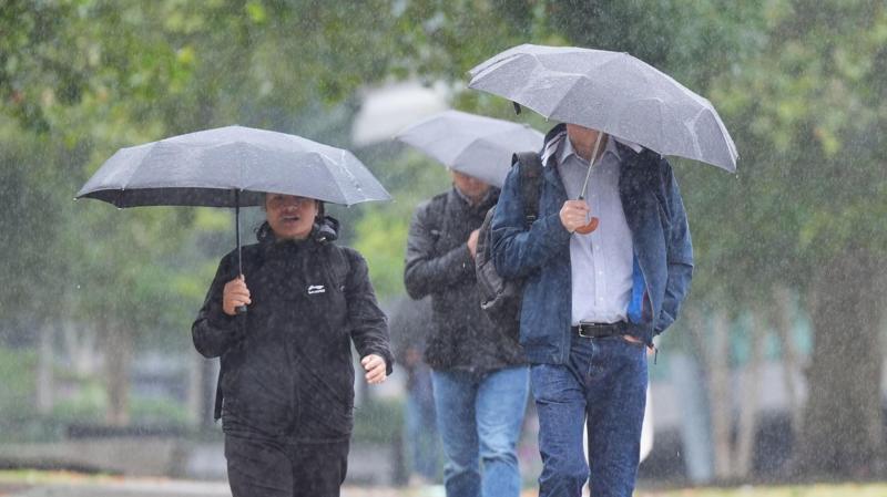 Headline: Storm Benjamin Set to Strike: Yellow Weather Warning for East of England and Beyond