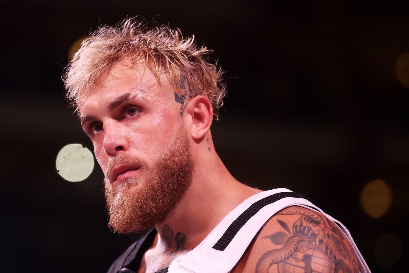 Dont Deny Jake Paul as a Boxer, Says Daniel Cormier