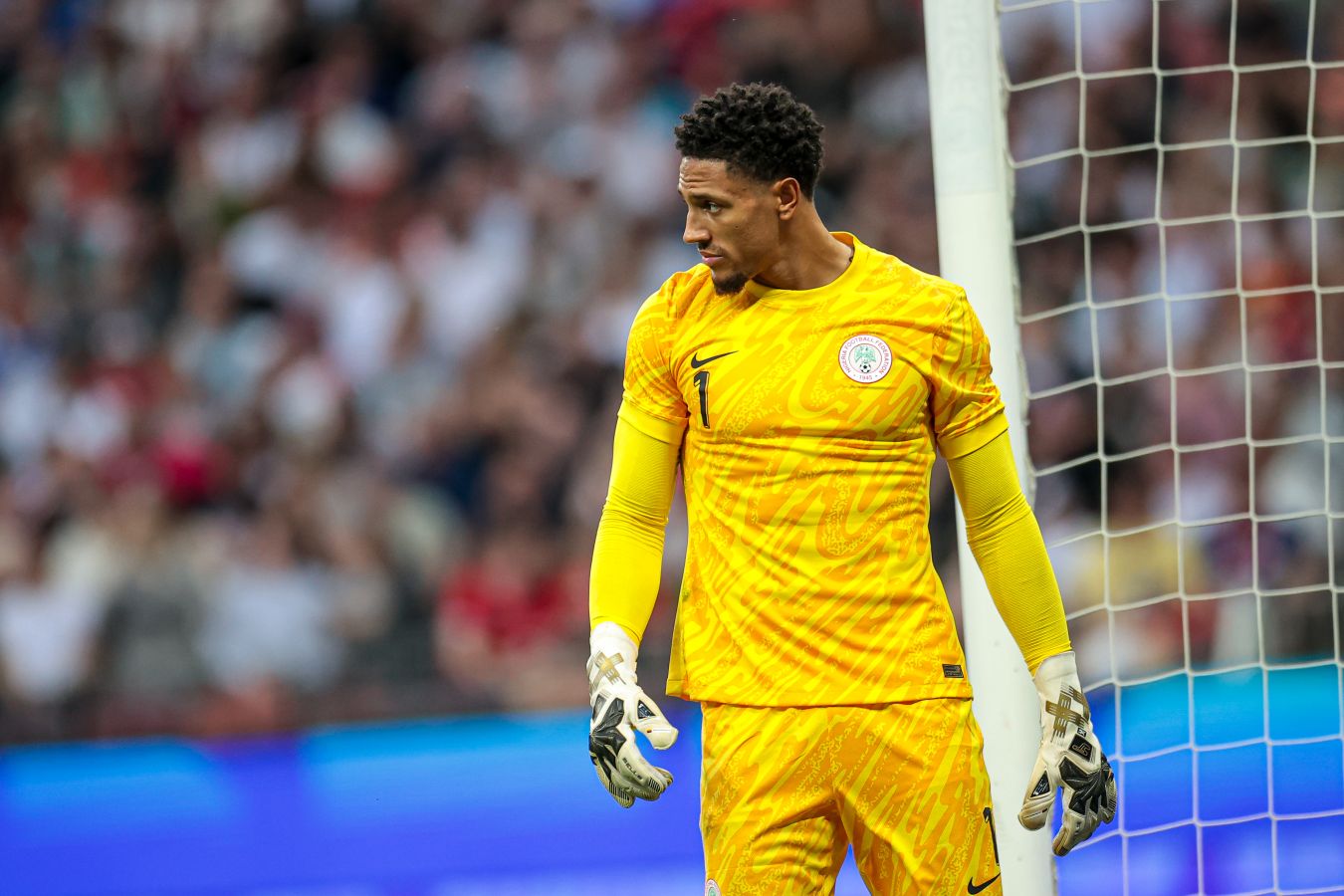 Nigeria vs Tunisia: AFCON Match Live Stream Kicks Off at 23:00 MSK